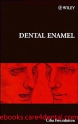 Dental Enamel, No. 205 (pdf)