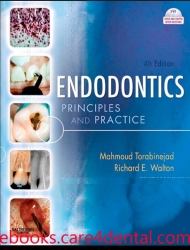 Endodontics: Principles and Practice, 4th Edition (pdf)